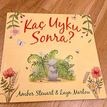cocuklar-icin-kitap-onerileri-kac-uyku-sonra-by-amber-stewart-3-yas-ve-uzeri