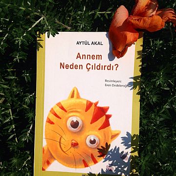 cocuklar-icin-kitap-onerileri-annem-neden-cildirdi-by-aytul-akal-8-yas-ve-uzeri