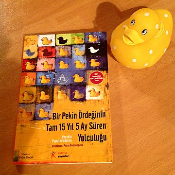 cocuklar-icin-kitap-onerileri-bir-pekin-ordeginin-tam-15-yil-5-ay-suren-yolculugu-by-vassilis-papatheodorou-10-yas-ve-uzeri