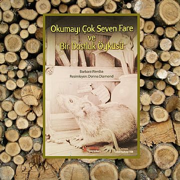 cocuklar-icin-kitap-onerileri-okumayi-cok-seven-fare-ve-bir-dostluk-oykusu-by-barbara-wersba-10-yas-ve-uzeri