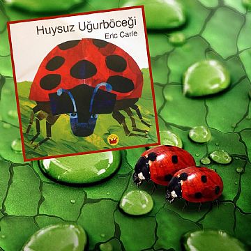 cocuklar-icin-kitap-onerileri-huysuz-ugurbocegi-by-eric-carle-4-yas-ve-uzeri