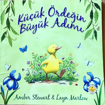 cocuklar-icin-kitap-onerileri-kucuk-ordegin-buyuk-adimi-by-amber-stewart-2-yas-ve-uzeri