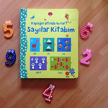 cocuklar-icin-kitap-onerileri-kapagin-altinda-ne-var-sayilar-kitabim-by-keith-newel-1-yas-ve-uzeri