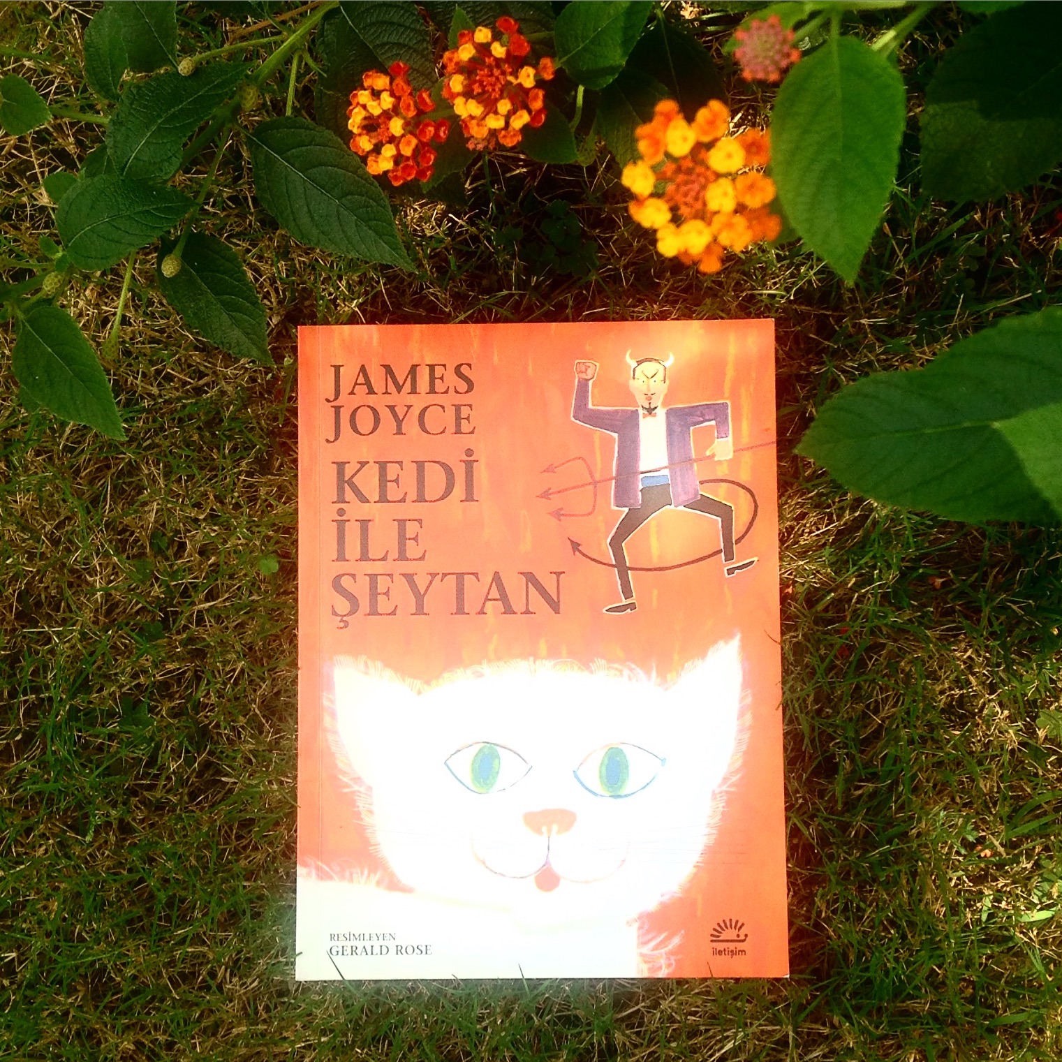 cocuklar-icin-kitap-onerileri-kedi-ile-seytan-by-james-joyce-8-yas-ve-uzeri