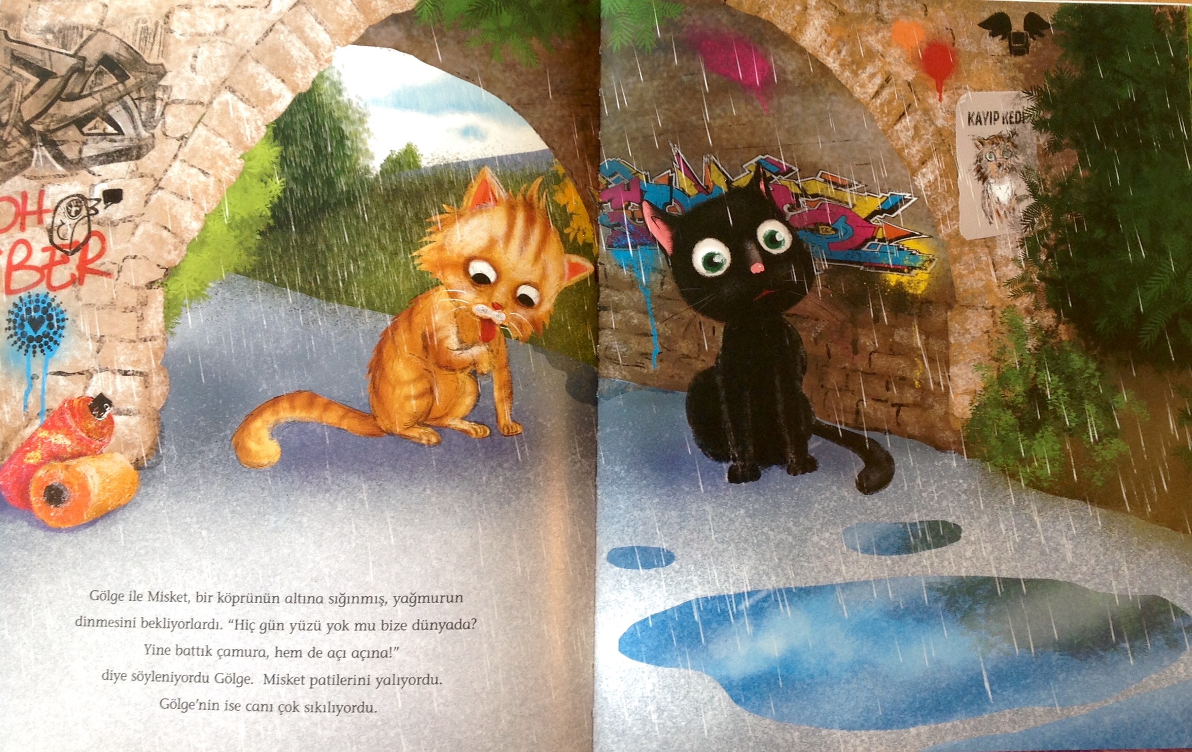 KitapKurduAnne Gökkuşağını Kovalayan Kedi Çocuklar için Kitap Öner
